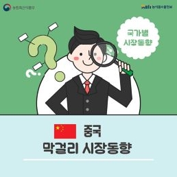 중국 막걸리 시장동향