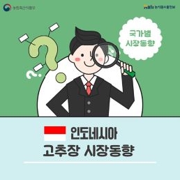 인도네시아 고추장 시장동향