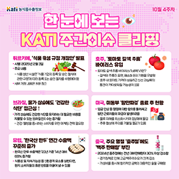 한 눈에 보는 KATI 주간이슈 클리핑