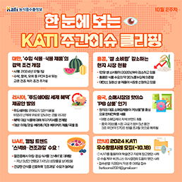 한 눈에 보는 KATI 주간이슈 클리핑