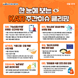 한 눈에 보는 KATI 주간이슈 클리핑