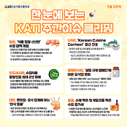 한 눈에 보는 KATI 주간이슈 클리핑