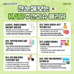 한 눈에 보는 KATI 주간이슈 클리핑