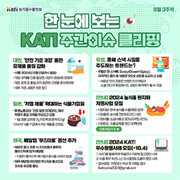 한 눈에 보는 KATI 주간이슈 클리핑