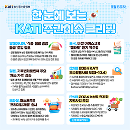 한 눈에 보는 KATI 주간이슈 클리핑