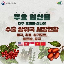 주요 임산물(대추·오미자·산나물) 수출 상위국 시장현황